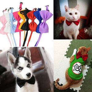 2Pcs Fashion Bow Tie Necktie Collar Dog Pet Puppy Toy Cute Clothes Accessories