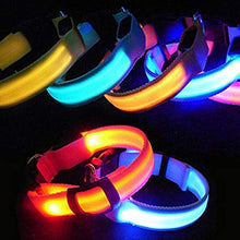 Load image into Gallery viewer, LED Flashing Collar for Pet Dog Cat Night Safety Light Luminous Fun Fascinating