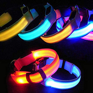 LED Flashing Collar for Pet Dog Cat Night Safety Light Luminous Fun Fascinating