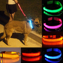 Load image into Gallery viewer, LED Flashing Collar for Pet Dog Cat Night Safety Light Luminous Fun Fascinating