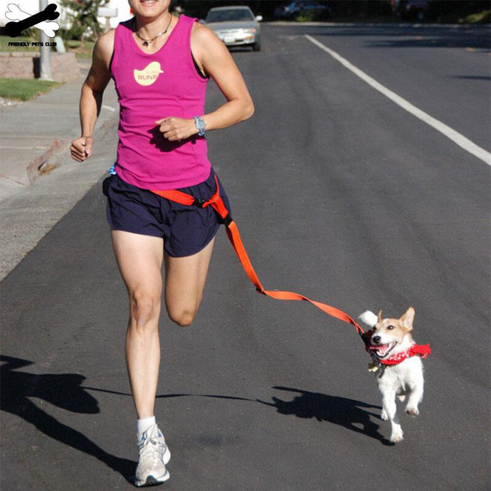 Attractive Traction Pulling Leash Pet Dog Running Jogging Convenient Safe Fashional Goods for pets