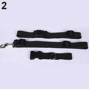 Attractive Traction Pulling Leash Pet Dog Running Jogging Convenient Safe Fashional Goods for pets