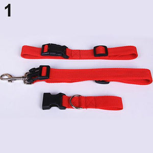 Attractive Traction Pulling Leash Pet Dog Running Jogging Convenient Safe Fashional Goods for pets