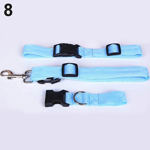 Attractive Traction Pulling Leash Pet Dog Running Jogging Convenient Safe Fashional Goods for pets