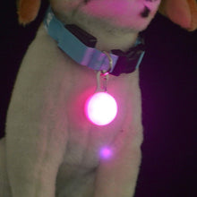 Load image into Gallery viewer, 1 Pcs LED Pet Dog Collar Cute Pendant Night Safety Pendant Luminous Night Light Collar Pedant Pet Supplies Dog Accessories