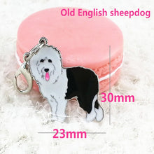 Load image into Gallery viewer, New Painted Pet Pendant  High Quality Pet Pendant Pet Keychain Pet Decorations  Variety Suitable For All Kinds Of Dogs