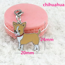 Load image into Gallery viewer, New Painted Pet Pendant  High Quality Pet Pendant Pet Keychain Pet Decorations  Variety Suitable For All Kinds Of Dogs